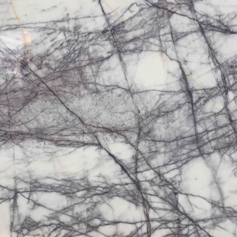 Italy-winter-marble-slab-tile-dhy-stone (1)
